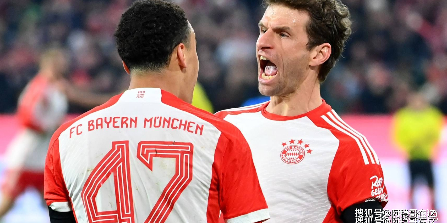 欧超杯集结日再迎强敌,孟菲斯灰熊门线救险,主帅态度——管理层满意,阵容厚度经受考验的简单介绍